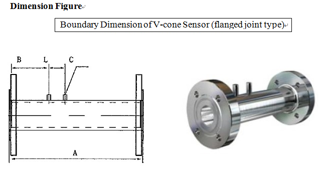 VZ V-cone Flow meter